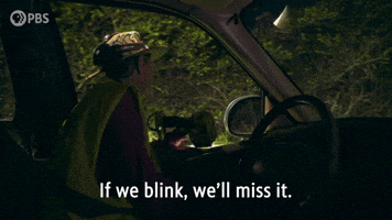 We'll Miss It