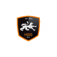 Sport Handball Sticker by HSG Graz