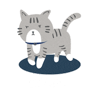 booksiri cat booksiri booksiriworld oscarthecat Sticker