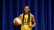 basketball sport GIF by Indiana Fever