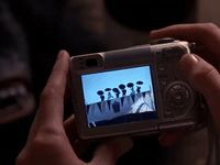 season 5 netflix GIF by Gilmore Girls 