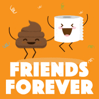 Happy Friends Forever GIF by Socialize