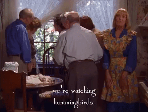 season 2 netflix GIF by Gilmore Girls 