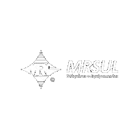 MRSULMAQUINAS mrsul mrsulmaquinas maquinaseequipamentos Sticker