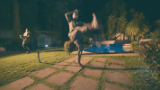 south africa dance GIF by Universal Music Africa