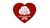 Heart Love Sticker by Presbiteriana IPB