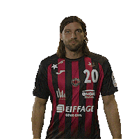 Handball Dahl Sticker by US Ivry