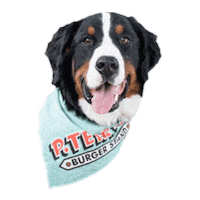 Dog Pt Sticker by P.Terry's Burger Stand