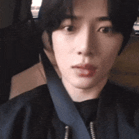 K Pop Omg GIF
