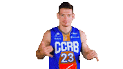 Basketball Phone Sticker by lnb_officiel