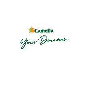 camellaofficial real estate investment township house and lot for sale Sticker