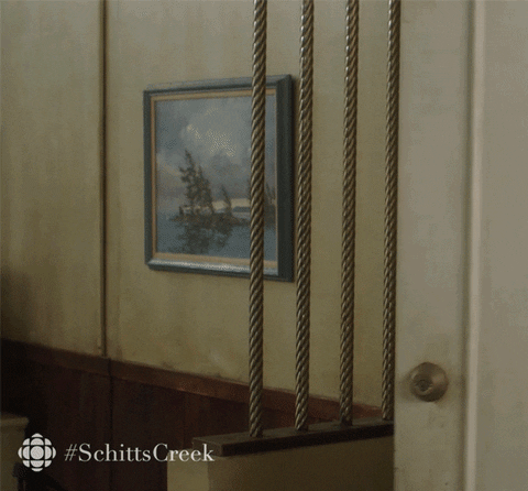awkward schitts creek GIF by CBC