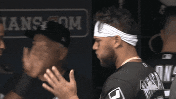 Regular Season Sport GIF by MLB