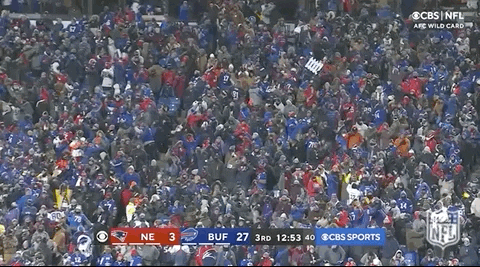 Buffalo Bills Football GIF by NFL