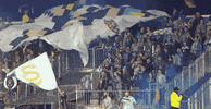 fans flags GIF by Philadelphia Union