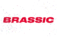 Brassic Sticker by Sky