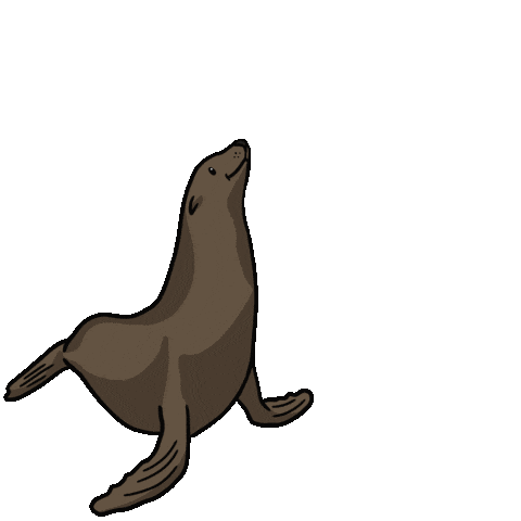 VisitMorroBayCA sea lion morro bay morrobay visit morro bay Sticker