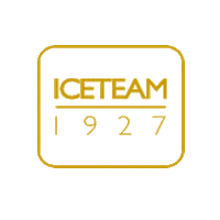 Italian Gelato Sticker by Iceteam 1927