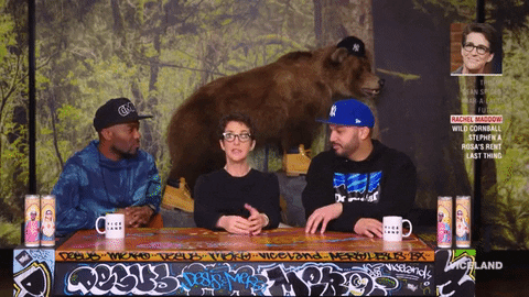 mad rachel maddow GIF by Desus & Mero