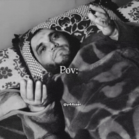 Morocco Pov GIF