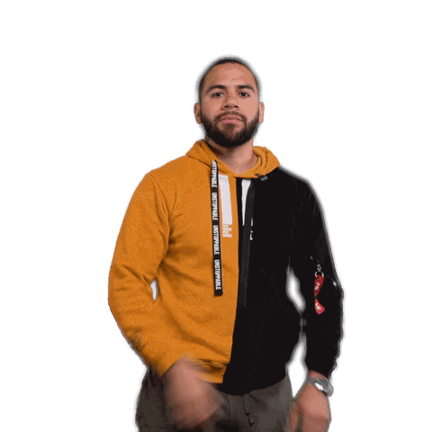 P4L Sticker by Emile Machado