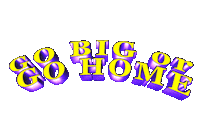 go big or go home text Sticker
