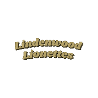 Gold Spirit Sticker by Lindenwood University