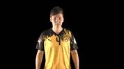 Hbf GIF by Handball Bundesliga Frauen