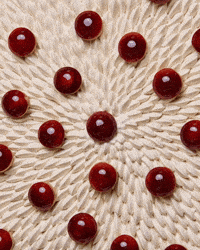 Paris Opera GIF by Cedric Grolet