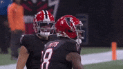 Move Along Go Away GIF by Atlanta Falcons