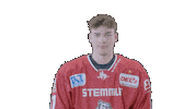 Hockey Family Sticker by Eisbären Regensburg