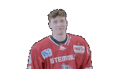 Hockey Family Sticker by Eisbären Regensburg