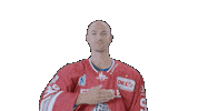 Hockey Family Sticker by Eisbären Regensburg