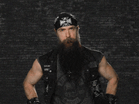 rock n roll no GIF by Zakk Wylde