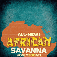 ZooATL new animals atlanta africa GIF