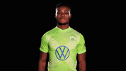 Soccer Reaction GIF by VfL Wolfsburg