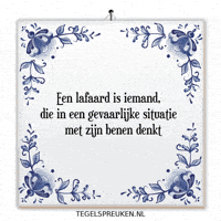 Humor Nl GIF by Tegelspreuken.nl