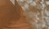 Fall GIF by The Running Man