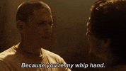 michael scofield fox GIF by Prison Break