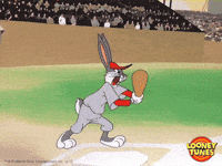 World Series Baseball GIF by Looney Tunes