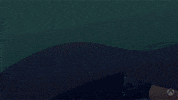 Vampire Read GIF by Xbox