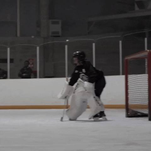 Ice Hockey GIF by HockeyDiversityAlliance