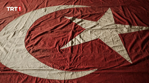 Turkey Turkish GIF by TRT