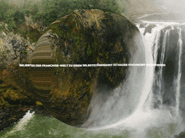 Happy Laugh GIF by FranchiseONE.de