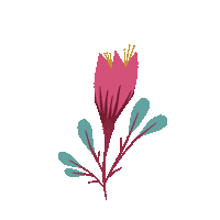 poppydesign flower in bloom poppydesign Sticker
