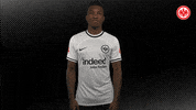 Bundesliga GIF by Eintracht Frankfurt