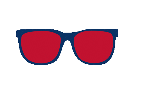 Echl Lets Go Rays Sticker by SCStingrays