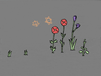 Rainbow Flower GIF by Trevor Anderson