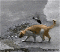 nerve getting GIF