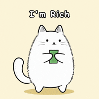 Happy Cat GIF by MESA My Emotional Support Animal